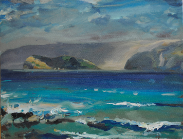 hawaii 1988 a